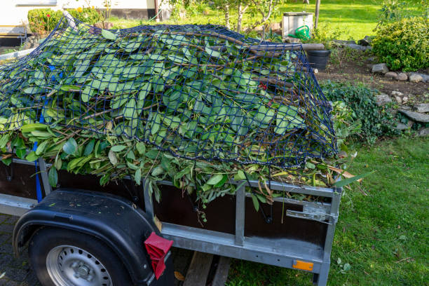 Best Shed Removal  in Ames, TX